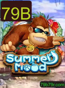 Explorando o Jogo SummerMood e a Chave 79B